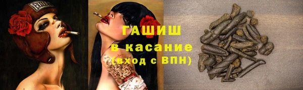 ГАЛЛЮЦИНОГЕННЫЕ ГРИБЫ Бородино
