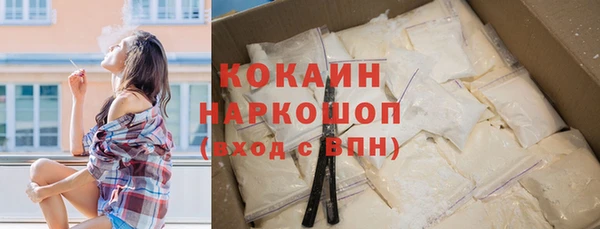 ГАЛЛЮЦИНОГЕННЫЕ ГРИБЫ Бородино