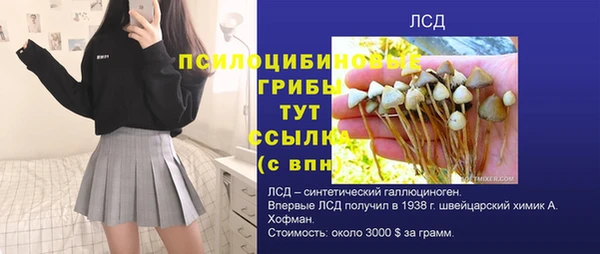 индика Бугульма