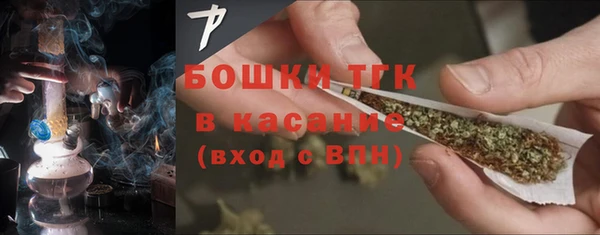 индика Бугульма