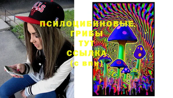 индика Ветлуга