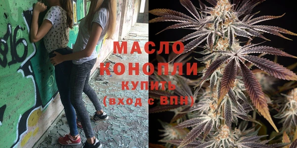 индика Бугульма