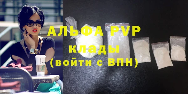 индика Бугульма