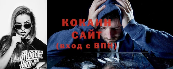 индика Бугульма